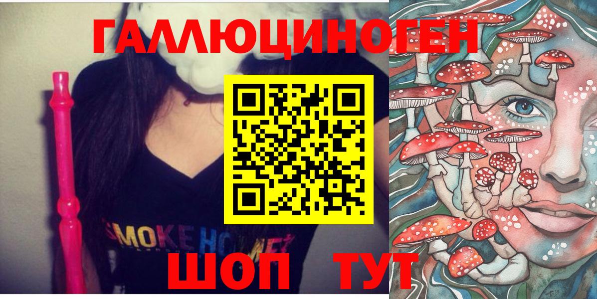 Галлюциногенные грибы Psilocybe  Вход с VPN  Берёзовский 