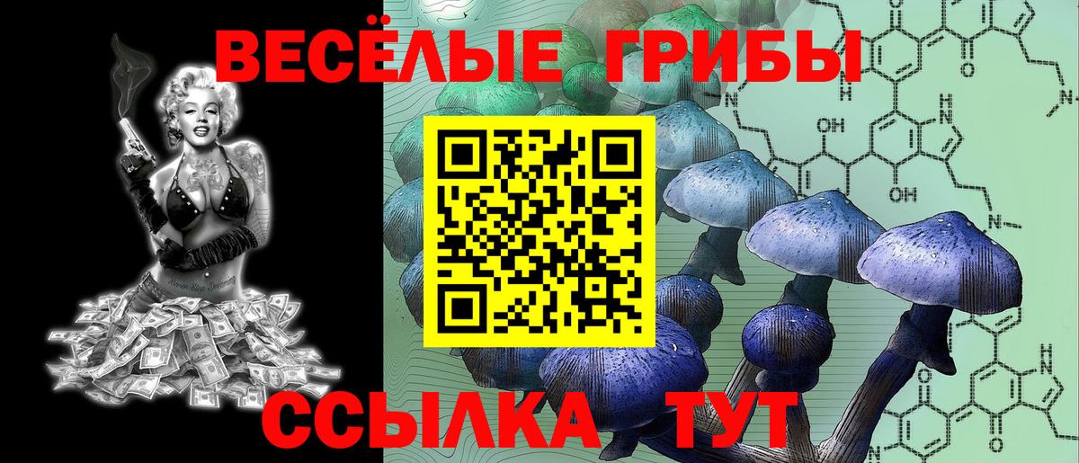 Галлюциногенные грибы мухоморы Берёзовский